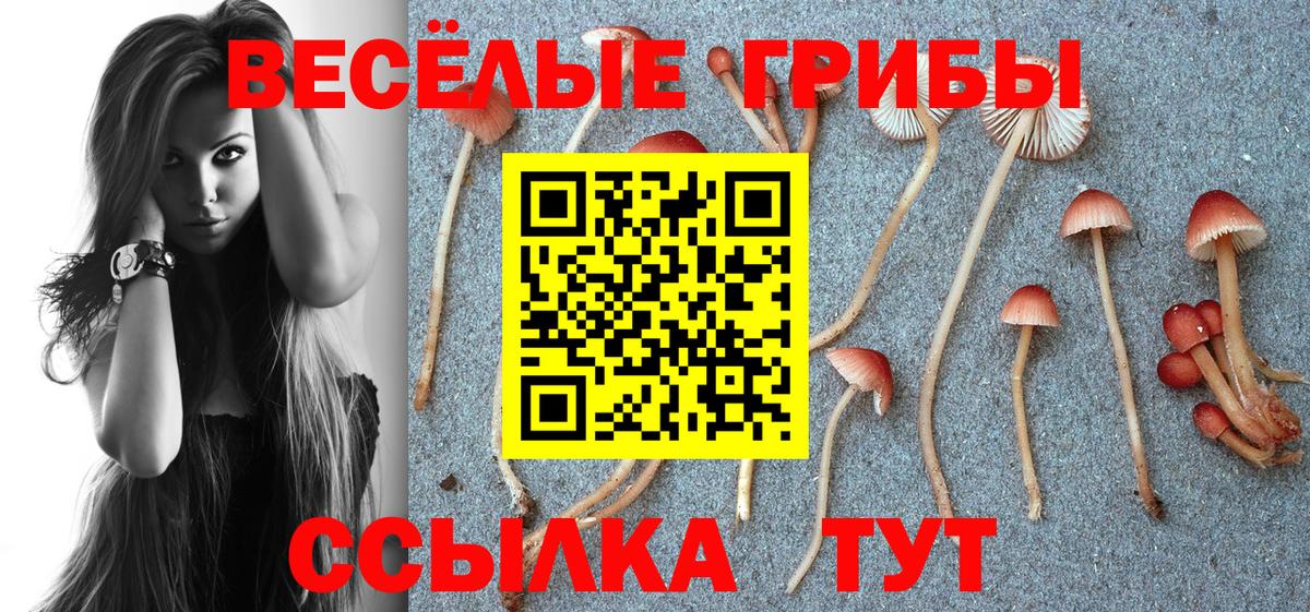 Галлюциногенные грибы ЛСД Партизанск